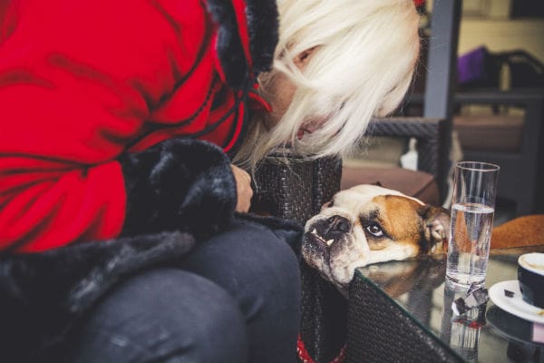 I locali pet friendly offrono menù sia per i padroni che per i loro amici a quattro zampe