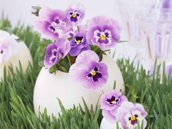 Uova, simbolo della Pasqua, trasformate in portafiori per celebrare la primavera