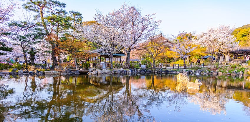 Vacanze di Pasqua 2019: il Maruyama Park a Kyoto