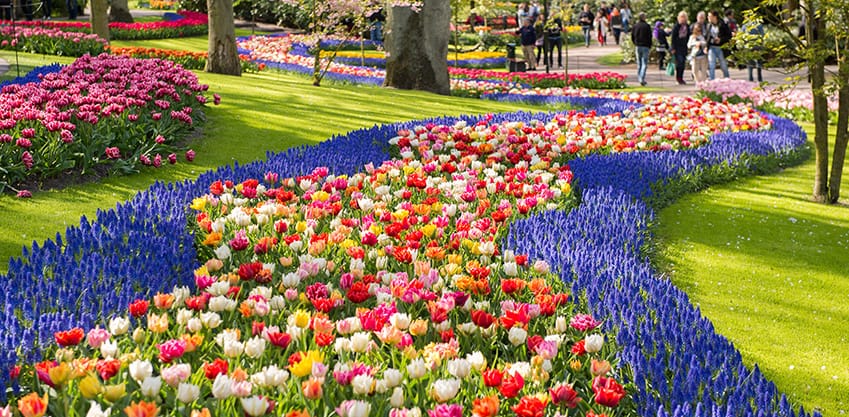 Vacanze di Pasqua 2019: il Tulp Festival di Amsterdam